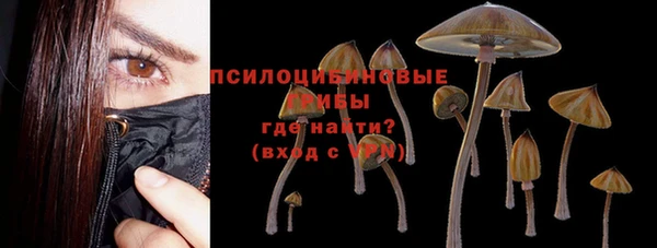 PSILOCYBIN Бугульма